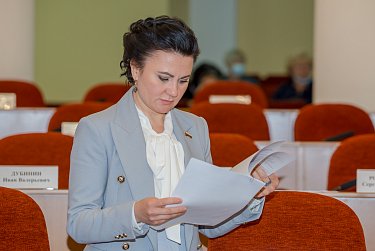 Депутаты приняли отчет полиции 